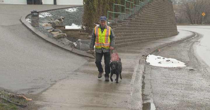 1707107369 Service Dog Leads Blind Senior From Vernon Bc Back Home.jpg