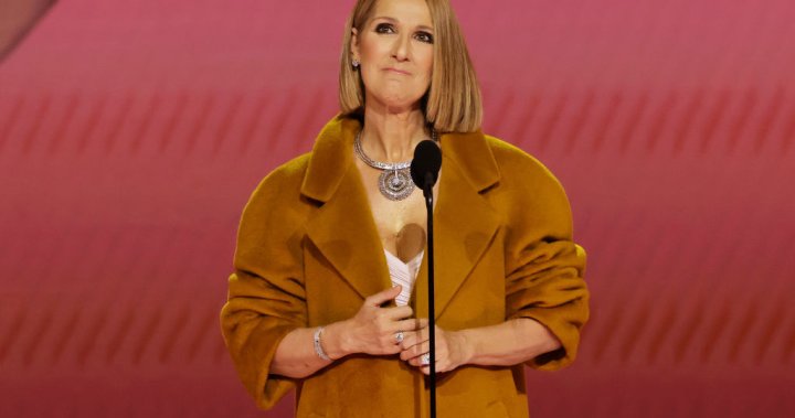 1707123106 Celine Dion Makes Surprise On Stage Appearance At The Grammy Awards.jpg