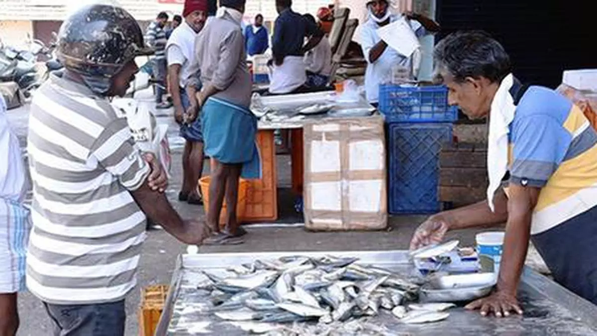 Cift To Focus On Fishery Based Entrepreneurship Development In North.jpg