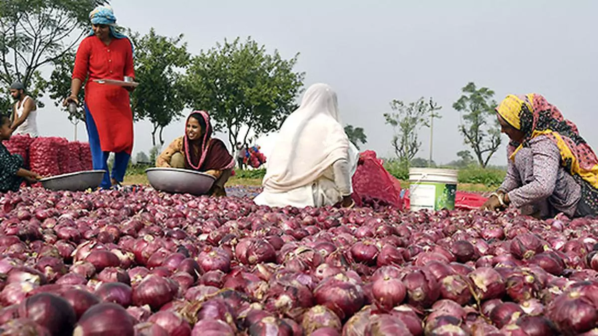 Central Team Visits Nashik To Address Concerns Of Onion Farmers.jpg