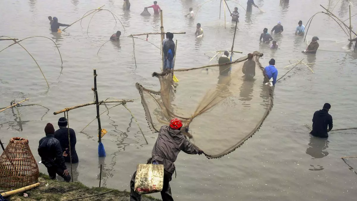 Department Of Fisheries Ondc In Deal To Help Fish Farmers.jpg