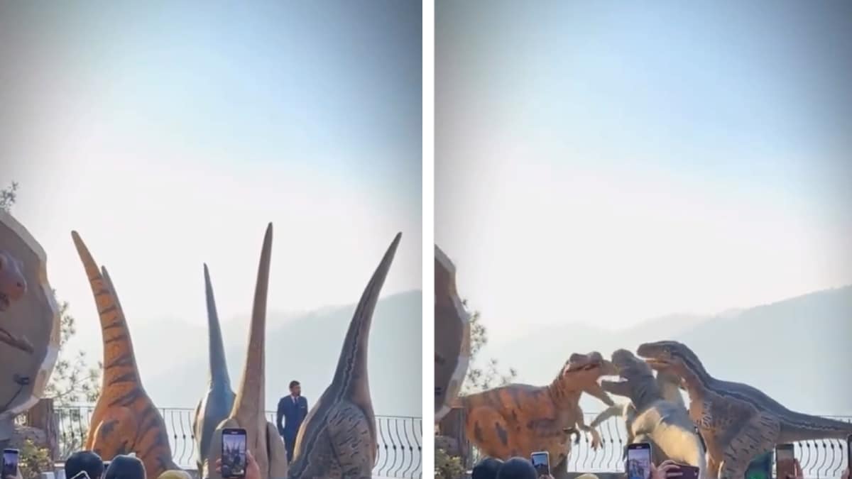 Dinosaurs Dancing To Nach Punjaban In Pakistan Amusement Park Will.png