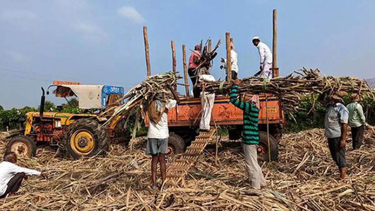 Early Start To Season Curbs On Supplying Ethanol Help Indias.jpg