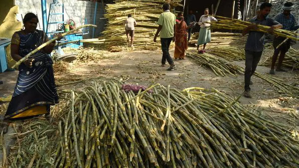 India Rules Out Easing Curbs On Cane Juice For Ethanol.webp