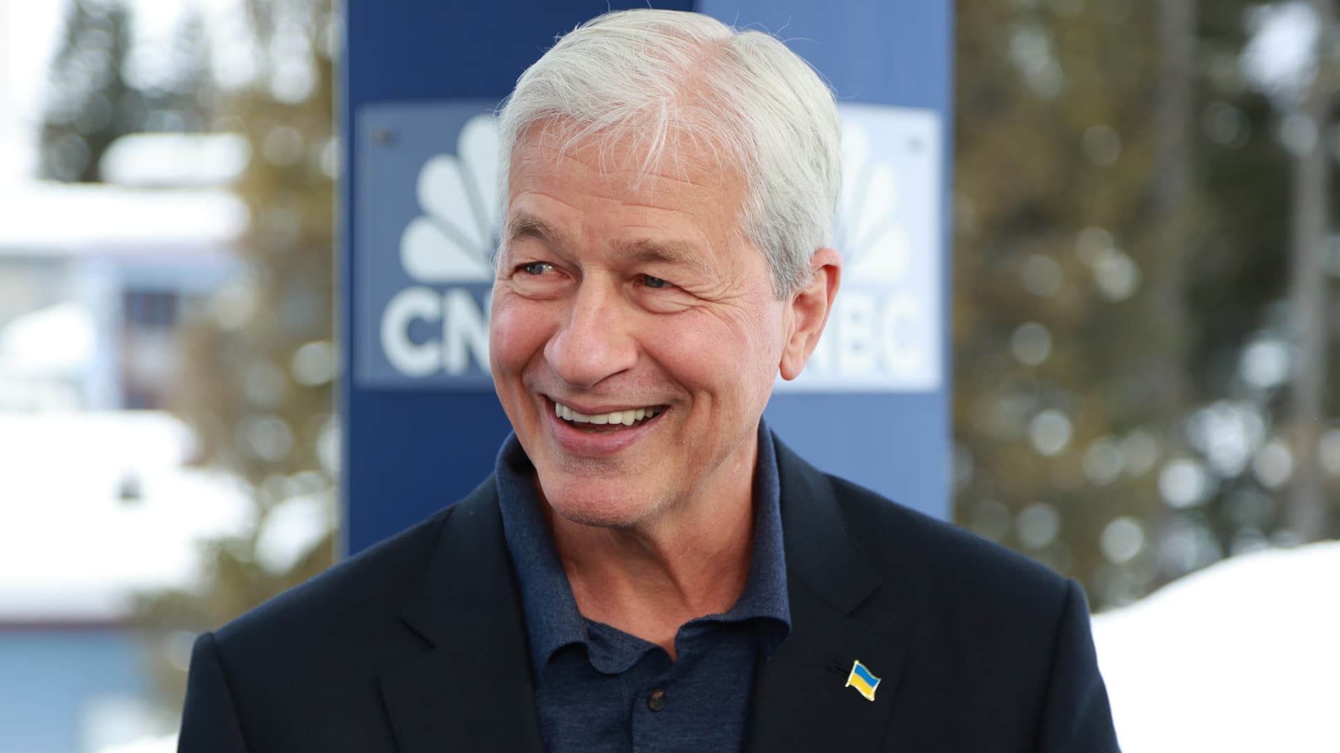 Jamie Dimon On Capital One Discover Deal Let Them Compete.jpg