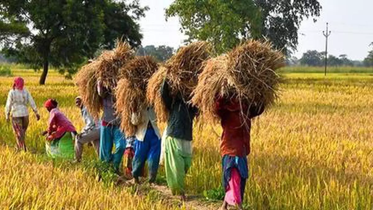 Karnatakas New Agri Scheme To Make Farming Sustainable Lucrative.jpg