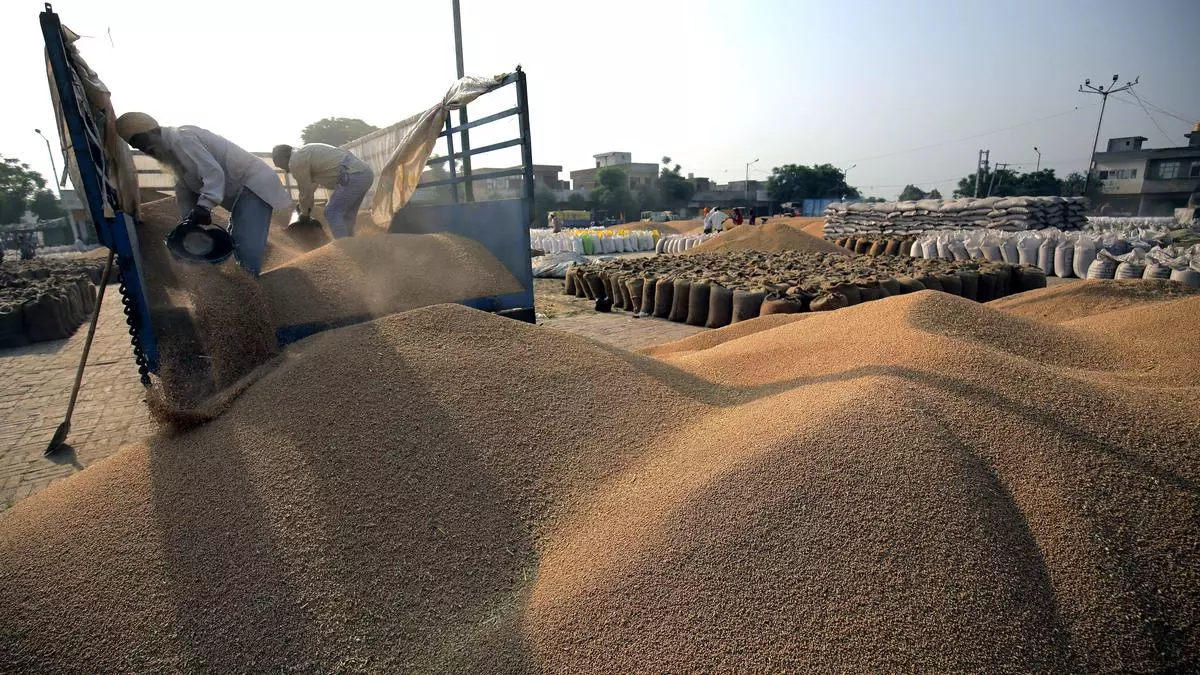 Rajasthan Set To Offer ₹125quintal Bonus For Wheat Procurement.jpg