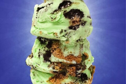 1710133714 Bright Green Ice Creams Green Monster Ice Cream.jpeg
