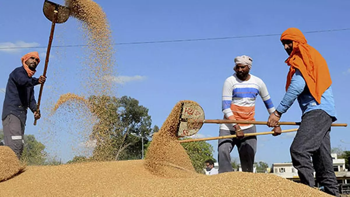 1711334714 India To Procure Wheat Aggressively As Stocks With Fci Fall.jpg