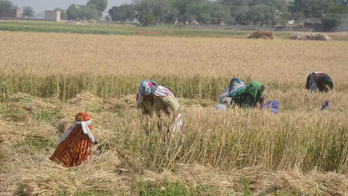 Agri Produce Traders May Have To Pay Higher Farmer Welfare.jpg