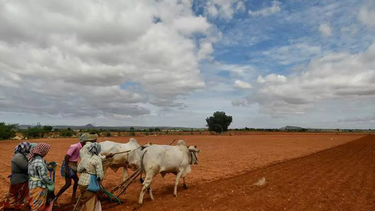 Formal Agriculture Credit Mirage To Reality.jpg