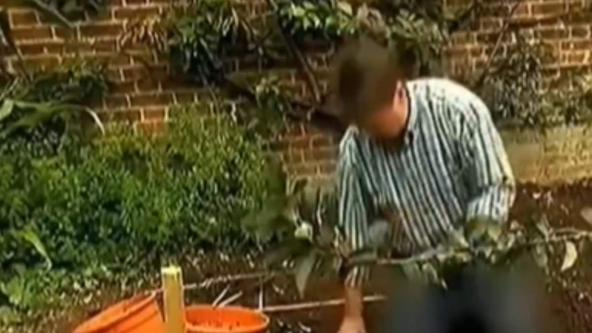 North Korea Censors British Gardening Show Host Alan Titchmarshs Jeans.png