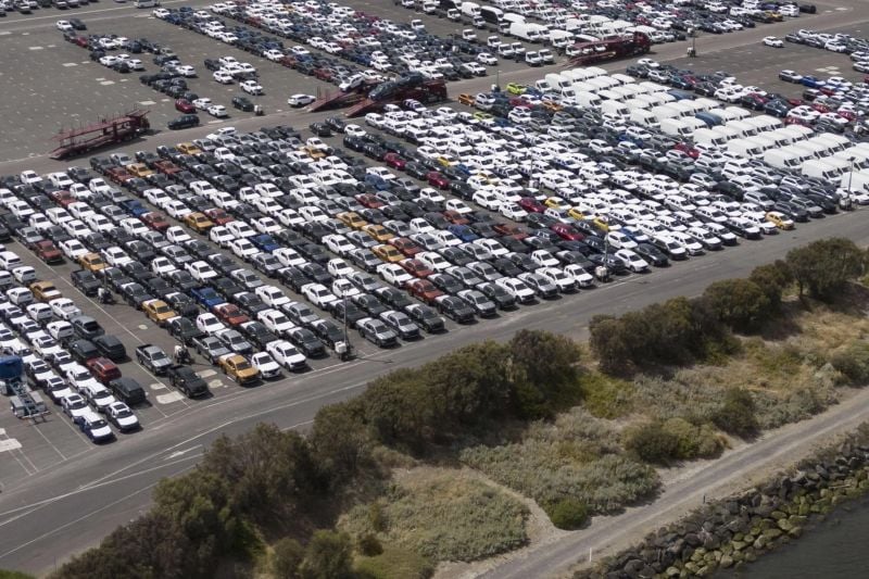 Stink bugs leave new car buyers facing fresh delays