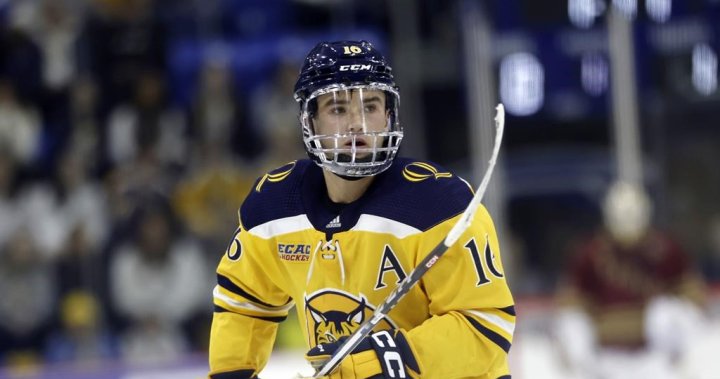 1712018990 Maple Leafs Sign College Standout Quillan.jpg