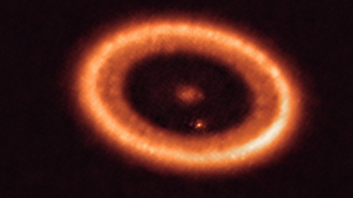 1712156689 Jwst Spots Hints Of Exomoons Forming In Infant Star System.png