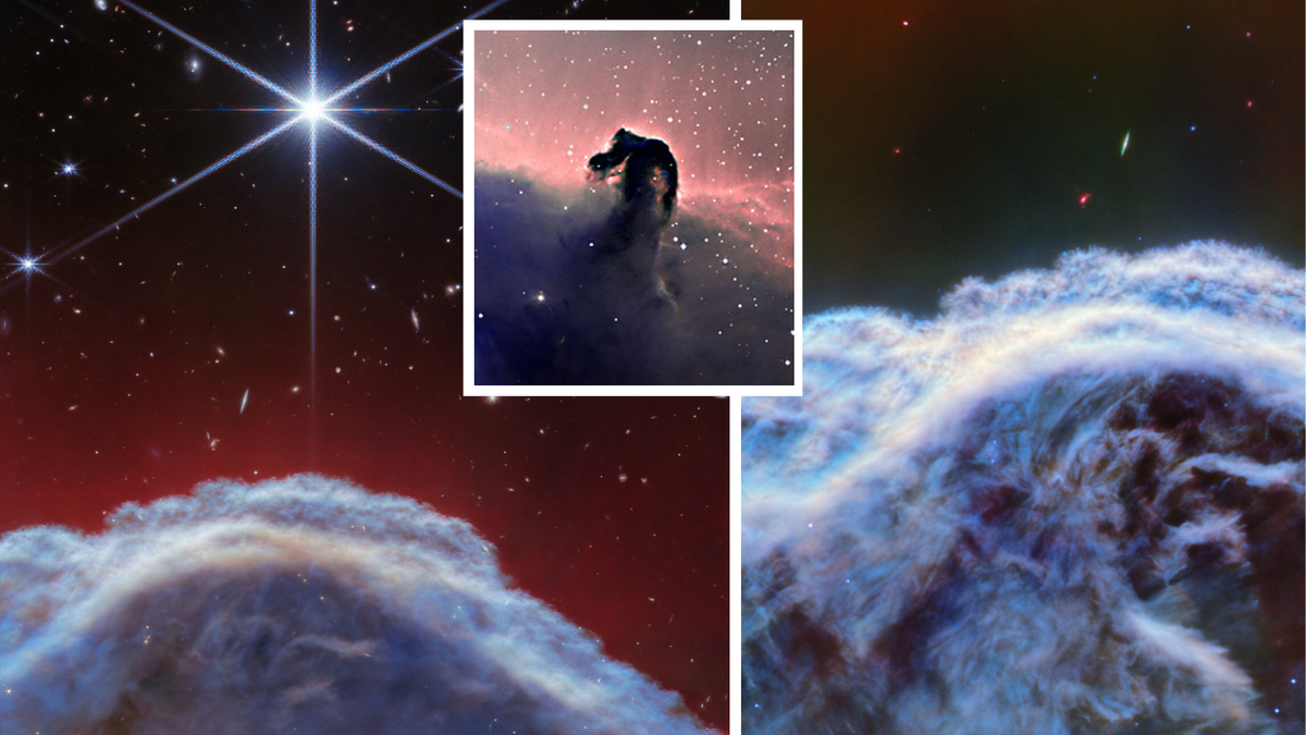 1714415278 Horsehead Nebula Rears Its Head In Gorgeous New James Webb.png