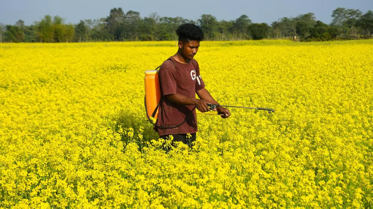 Continuous Use Of Pesticides And Insecticides In Growing Vegetables Is.jpg