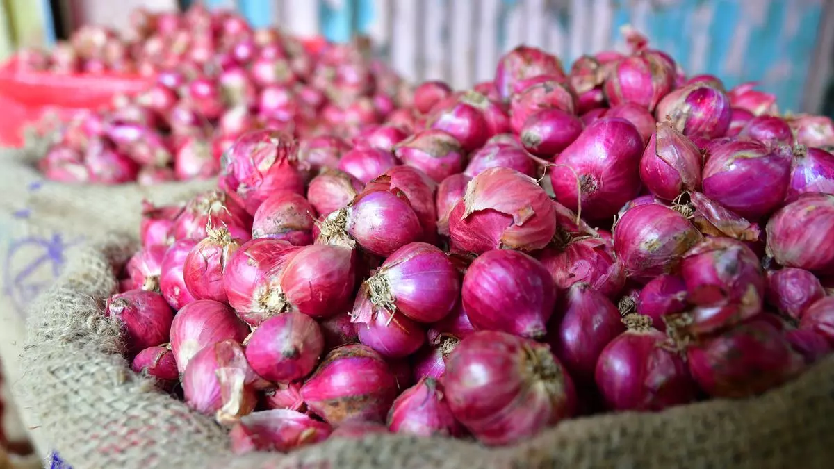 Govt Allows Exports Of Over 1 Lakh Tonnes Of Onion.jpg