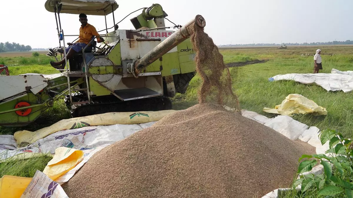 Indias Rice Procurement Tops 45 Mt But Down 7 Y O Y.jpg