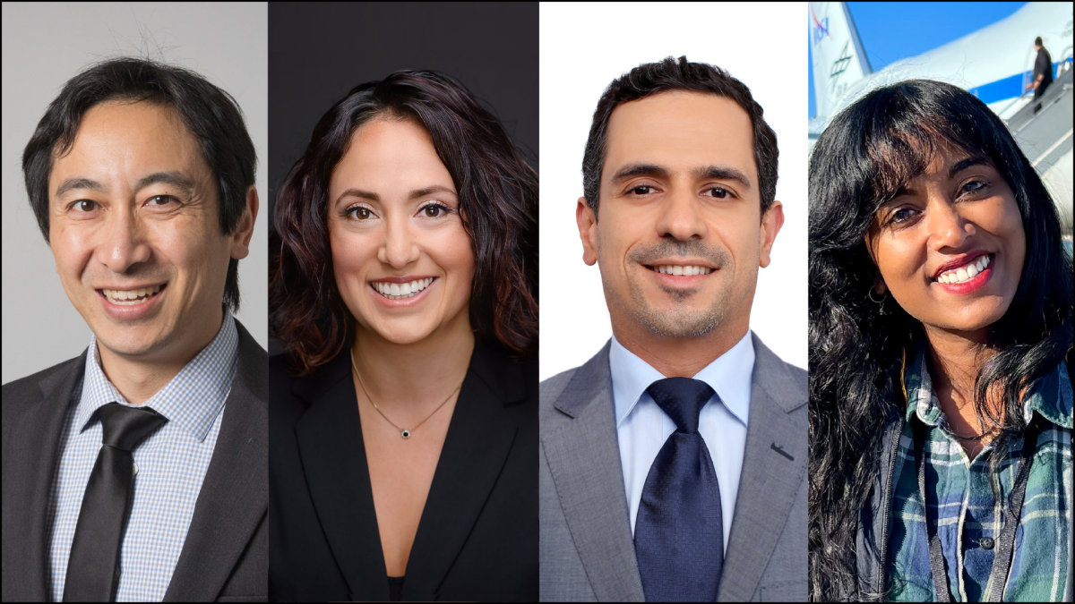 four panels show as many people, from the left: a man with a dark jacket and matching tie against a grey background, a woman with dark shoulder-length hair wearing a dark jacket and a necklace, a man with a scruffy goaty and short dark hair, wearing a blue tie and grey jacket against a white background, and a smiling woman with flowing dark hair, with the tail of a plane behind her.