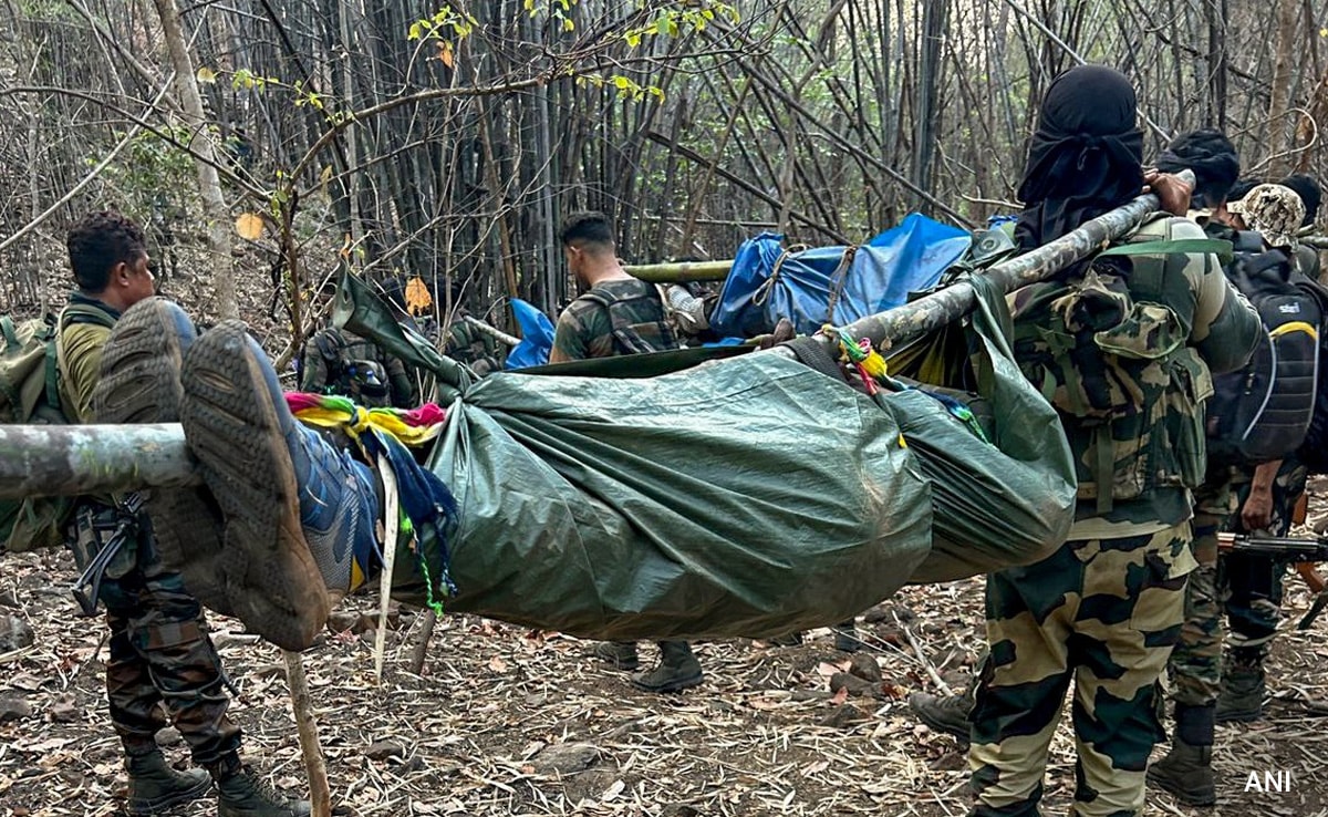 Silence In Air Bullet Marks On Trees At Chhatisgarhs Maoist.jpg