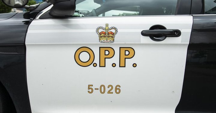 Student Arrested After Threatening Others At Orillia High School Police.jpg